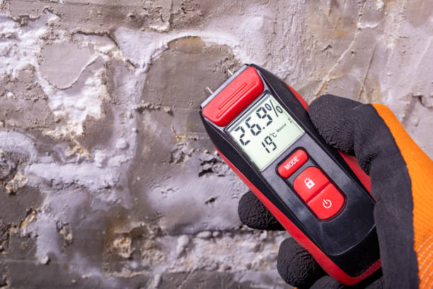 Best Professional Mold Removal  in Perryopolis, PA