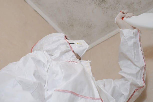 Best Mold Removal Company Near Me  in Perryopolis, PA